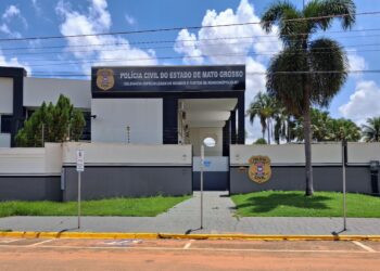 Operação Abigeatus: Polícia Civil combate furto de gado em Rondonópolis e região