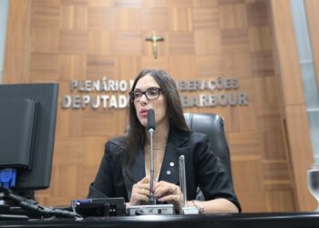 Projeto de Janaina pode ampliar licença-paternidade e proteger mães em internação pós-parto