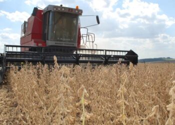 Adiamento do acordo UE-Mercosul pode proteger competitividade, mas traz incerteza ao agro gaúcho, apontam entidades