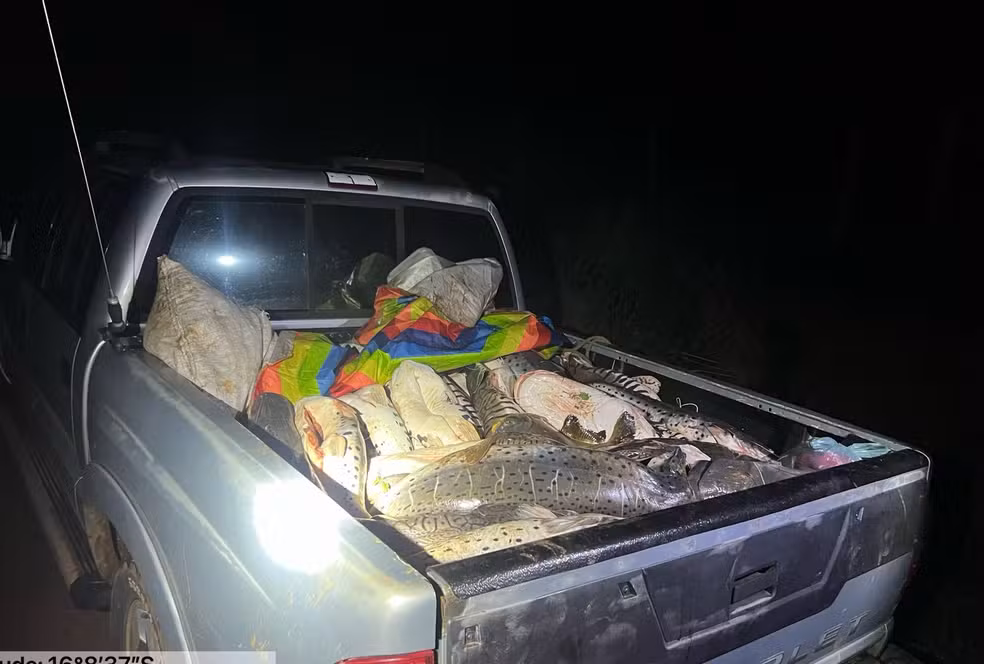 Mais de 400 kg de pescado são apreendidos durante fiscalização da piracema em MT