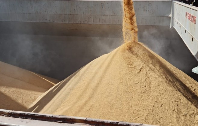 Novas regras do frete ampliam crise e ameaçam arroz gaúcho, alerta Federarroz
