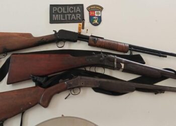 PM prende suspeito de furto e abate de gado e apreende três armas de fogo em distrito no Araguaia