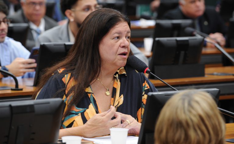 Discussão e votação de propostas legislativas. Dep. Laura Carneiro (PSD-RJ)