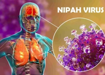 Vírus Nipah: tudo sobre a doença que reacendeu alerta global
