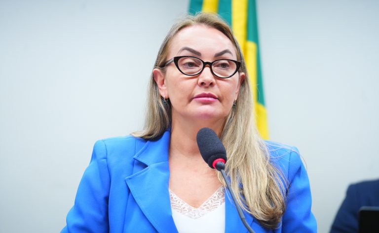 Audiência Pública - Regimes de exploração. Dep. Daniela Reinehr (PL - SC)