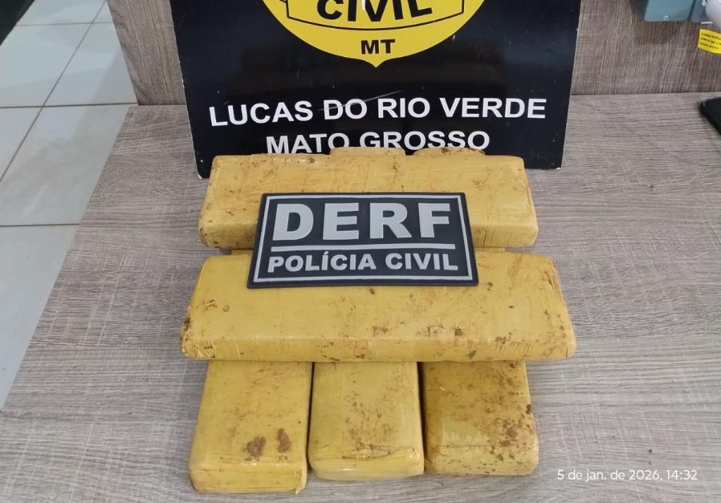 Polícia Civil apreende tabletes de maconha enterrados debaixo de pé de manga em Lucas do Rio Verde -