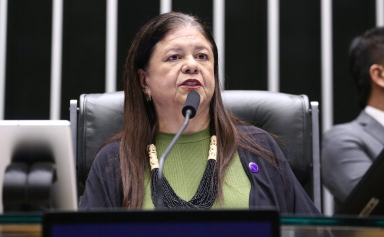 Discussão e votação de propostas legislativas. Dep. Laura Carneiro (PSD - RJ)