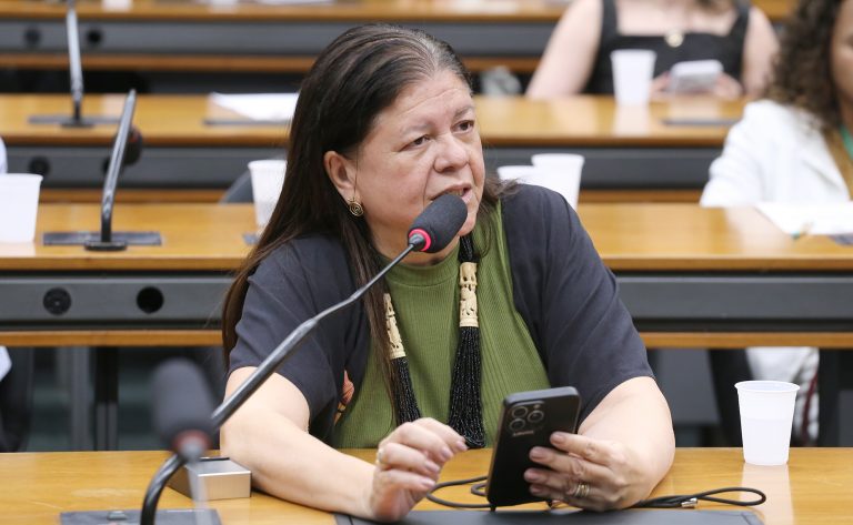 Deputada Laura Carneiro (PSD-RJ) fala em comissão da Câmara dos Deputados