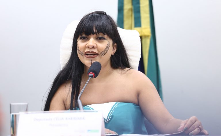 Audiência Pública - Tribuna das Mulheres e Discussão e votação de propostas legislativas. Dep. Célia Xakriabá (PSOL-MG)