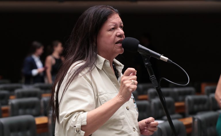 Discussão e votação de propostas legislativas. Dep. Laura Carneiro (PSD - RJ)
