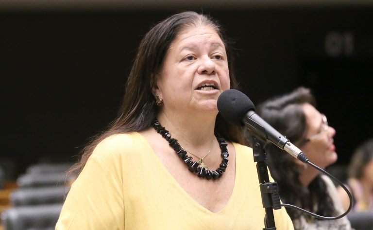 Discussão e votação de propostas legislativas. Dep. Laura Carneiro (PSD - RJ)