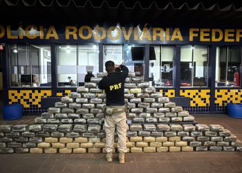PRF apreende cerca de meia tonelada de skunk escondida em fundo falso de caminhão em Rondonópolis