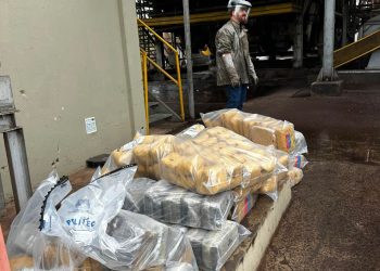 Polícia Civil incinera cerca de 400 quilos de drogas apreendidas em ações na região de Alto Garças