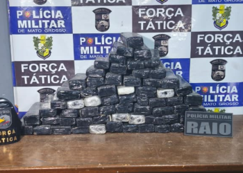 Força Tática apreende 66 quilos de maconha e causa prejuízo de R$ 300 mil ao crime