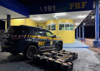 PRF intercepta carregamento de 274 kg de drogas em Alto Garças e prende motorista