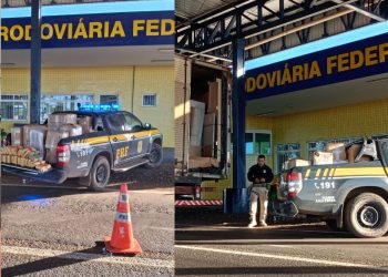 PRF apreende quase meia tonelada de skunk escondida em caminhão carregado com engradados de cerveja em Alto Garças