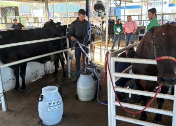 Inscrições de animais para o 32º Torneio Leiteiro da Exposul se encerram hoje