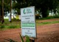 Programa Soja Legal promove uma produção mais sustentável e reforça confiança no agro de MT