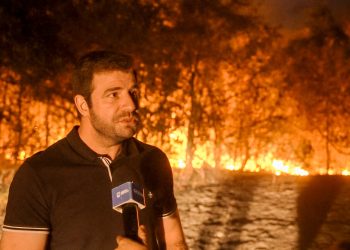 Prefeitura e Corpo de Bombeiros atuam na combate ao fogo no Parque dom Osório Stoffel