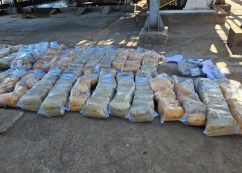 Polícia Civil incinera cerca de 220 quilos de drogas apreendidas na região de Alto Araguaia